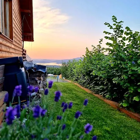 Przyjazna Apartmán